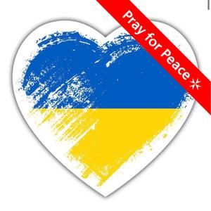 Meet your Posher, Lynne